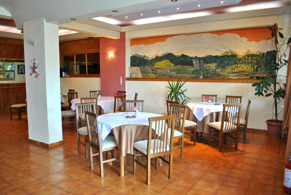Hotel Aoos Конитса Экстерьер фото