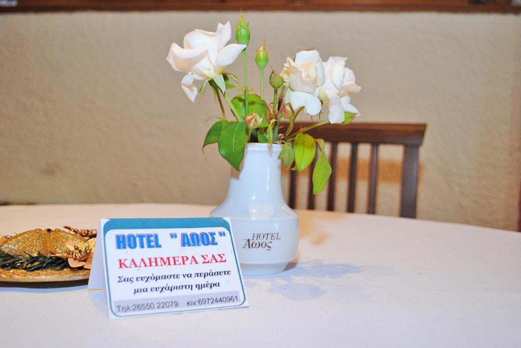 Hotel Aoos Конитса Экстерьер фото