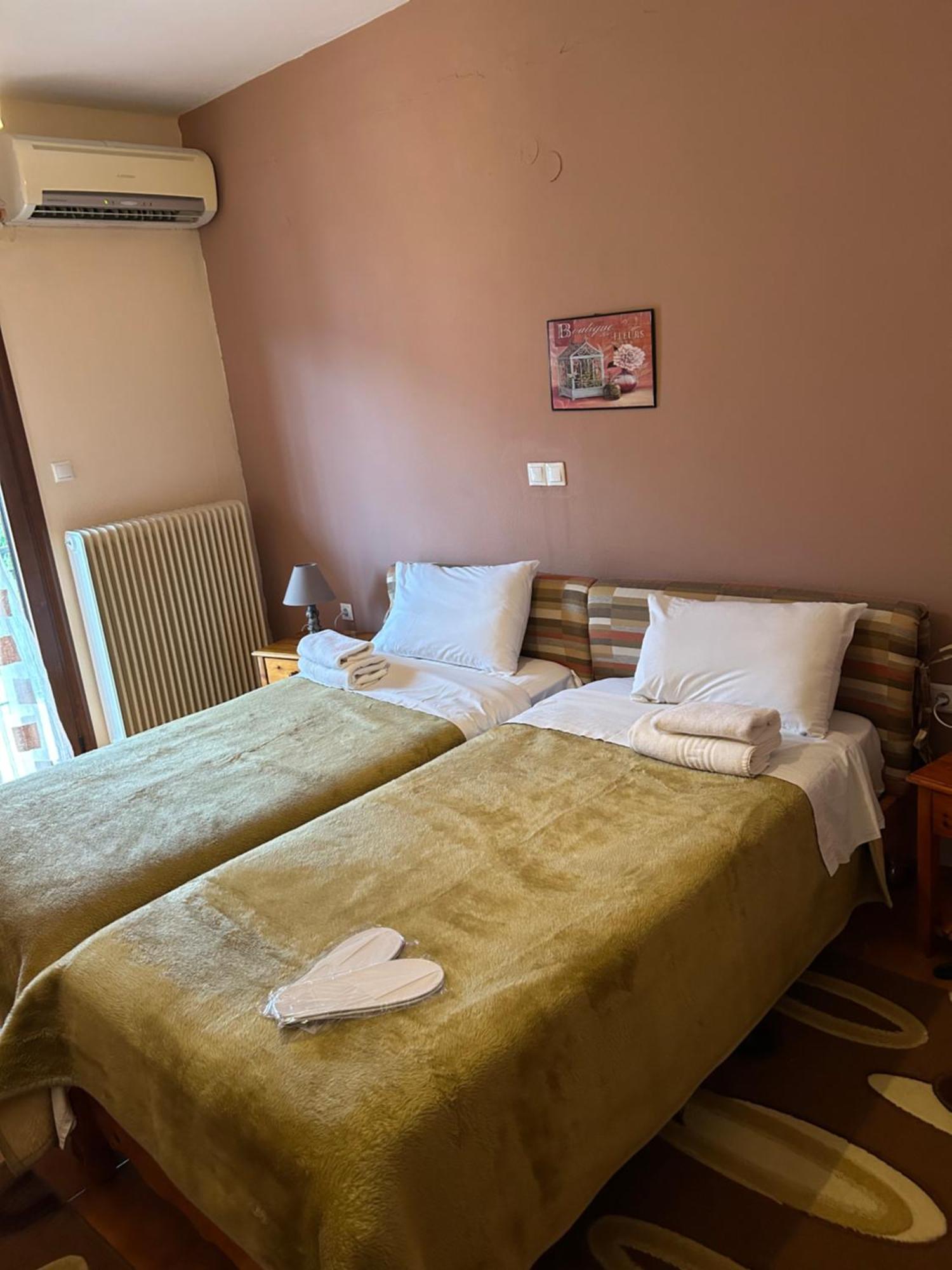 Hotel Aoos Конитса Экстерьер фото